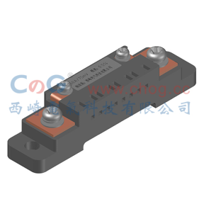 FL-2C 10A 15A 20A 30A 50A分流器