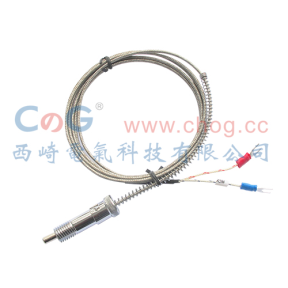 WRNT-01仿進(jìn)口壓簧式熱電偶