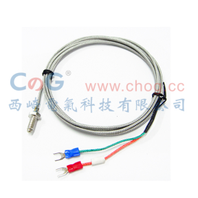 WRNT-02仿進(jìn)口螺釘熱電偶