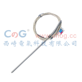 WZPT-03仿進(jìn)口探頭式熱電阻