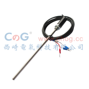 WZPT-03探頭式熱電阻